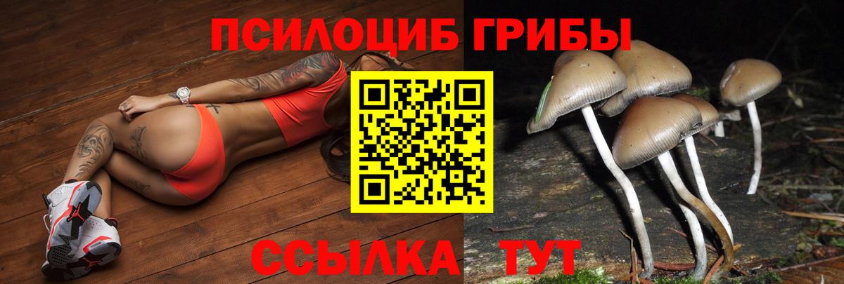 Псилоцибиновые грибы мухоморы Новоалтайск