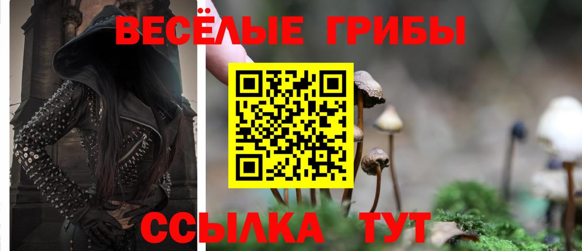 Галлюциногенные грибы GOLDEN TEACHER  Псилоцибиновые грибы Psilocybe  Вход с VPN  Новоалтайск 